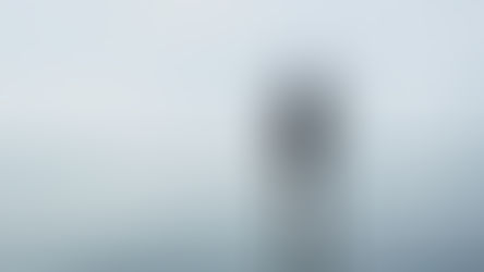 For Your Peace of Mind, Try Not to Understand Everything