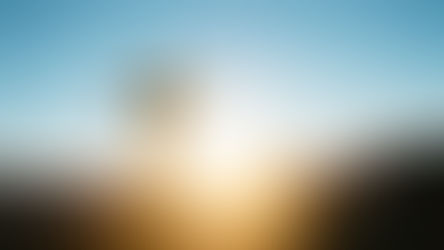 Everything Happens for a Reason: Finding Purpose in Life's Tapestry