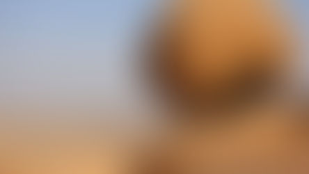 Embrace Your Own Strength