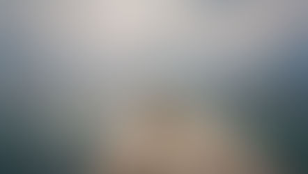 Cultivating Patience: Finding Serenity in Chaos