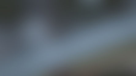 The Pursuit of Inner Peace