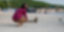 cindy derolf realtor with a mother and baby ducklings on lake harmony pa beach