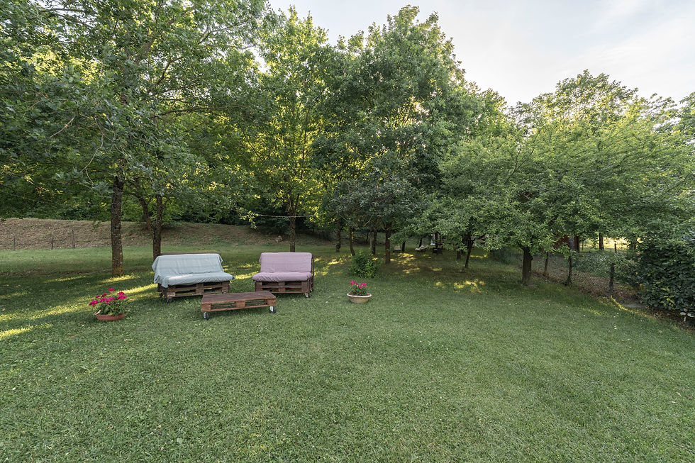 Cozy sofa in the shade