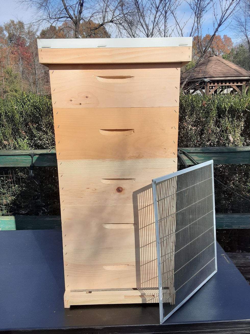 8 Frame Complete Medium box Hive w/honey supers