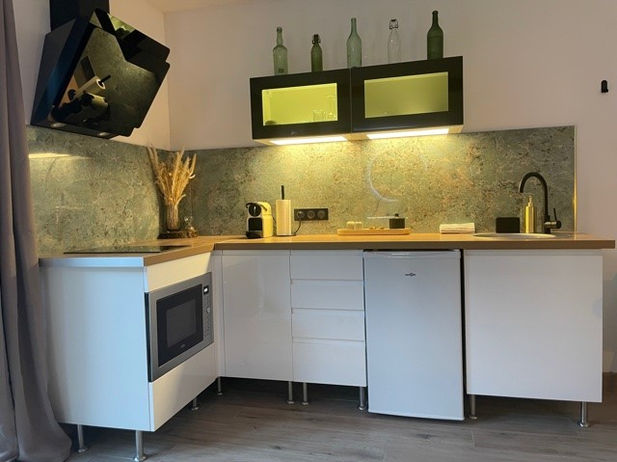 APPART SPA DIJON AVEC JACUZZI PRIVATIF