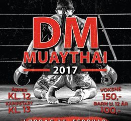 DM i Muay Thai