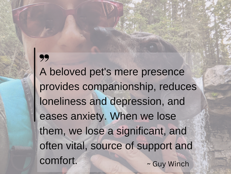 Grief Following Pet Loss: Navigating the Heartache and Healing