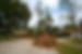 AdobeStock_388327043.jpeg