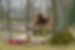 AdobeStock_201520326.jpeg