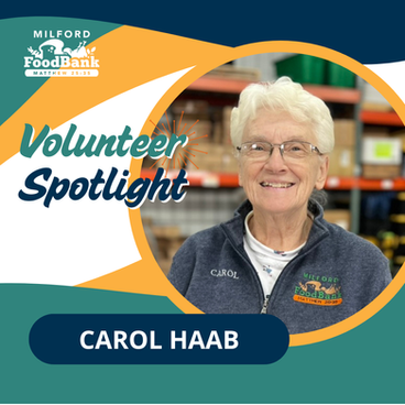 Volunteer Spotlight: Carol Haab