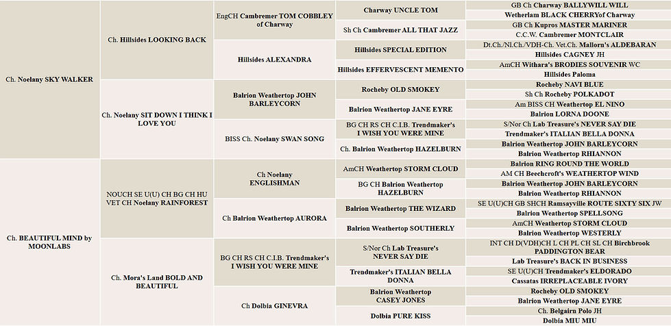 Elsa-5-gen-pedigree.jpg