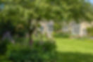 Swindon House Farm-36.jpg