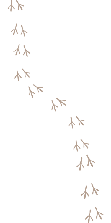 pngegg (1)_edited_edited.png
