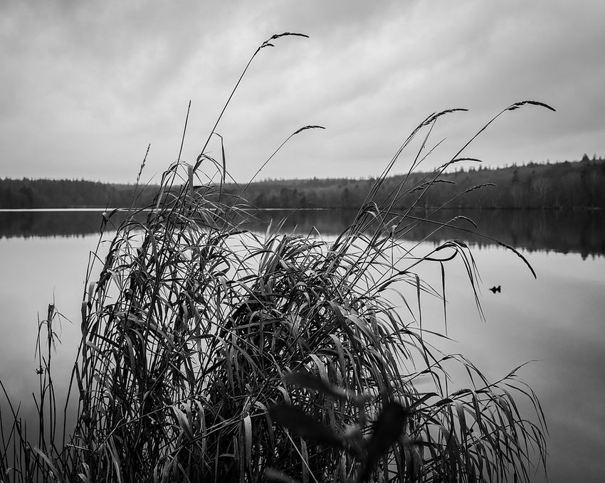 st økssø dec 2025 bw-3.jpg