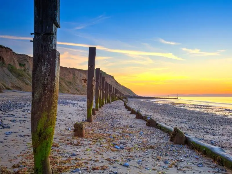 sheringham 5