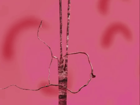 ezgif.com-video-to-gif.gif