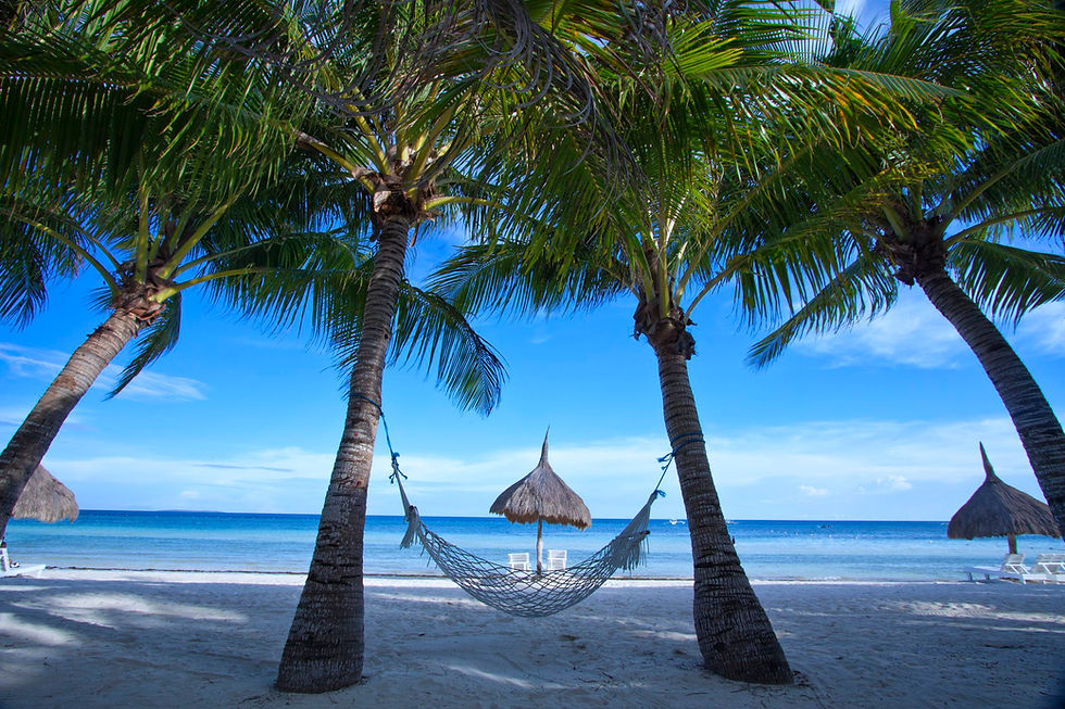 Bohol Tours