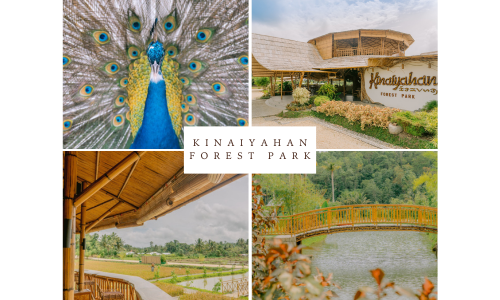 Bohol Transfers - Kinaiyahan Forest Park Tour