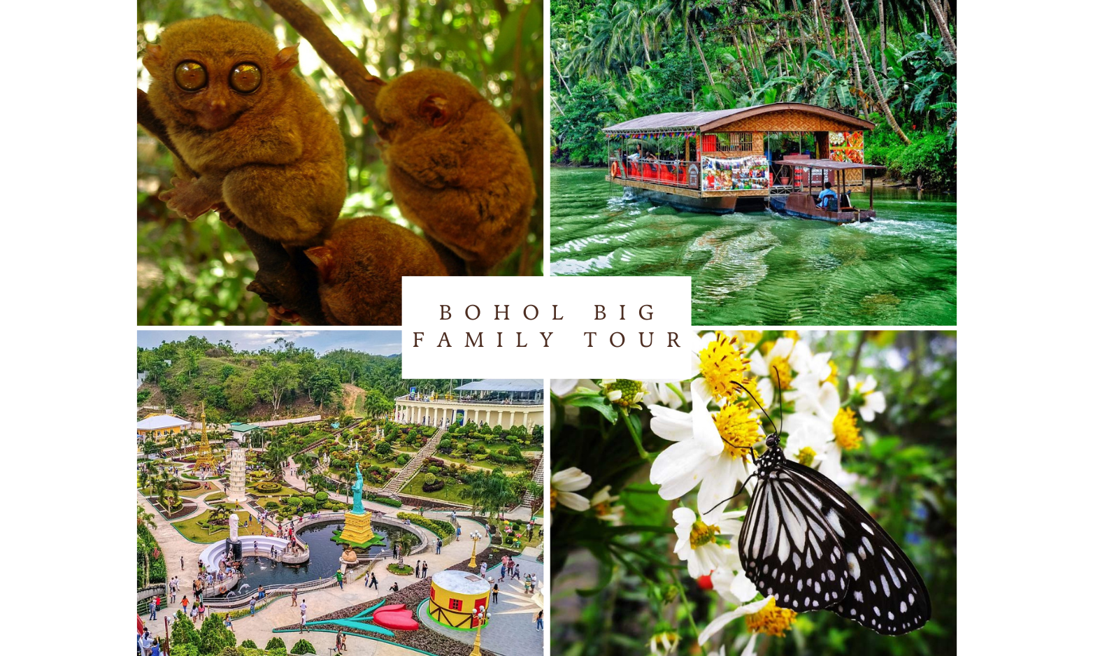 Bohol Big Family Tour from Bohol Transfers
