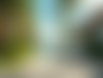 Find the Best Bohol Transfer Services for a Smooth Travel Experience