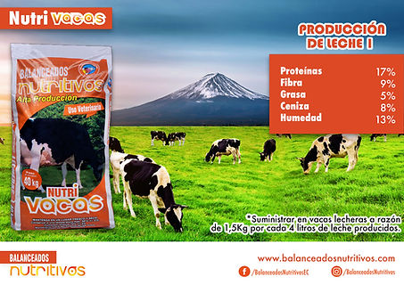  Nuevo_Vacas 1.jpg