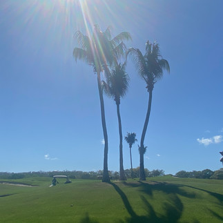 blue skies at golf course