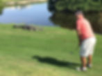 crocodiles at Iberostar Cancun Golf Course
