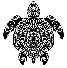 turtles images 009.jpg