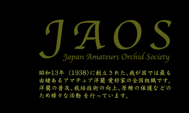 全蘭JAOS.gif