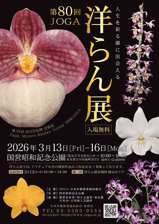 6cf222_c7175bdec4be474cb6a75ab