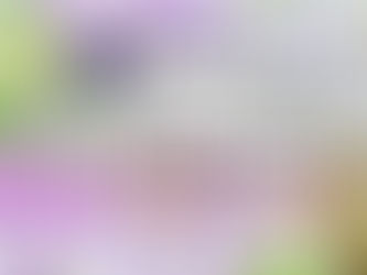 【終了】JOGA洋らんフェア2017 in YOKOHAMA