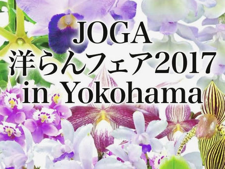 【終了】JOGA洋らんフェア2017 in YOKOHAMA