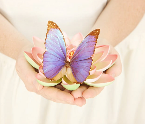 Screenshot 2025-05-13 at 20.18.13.png