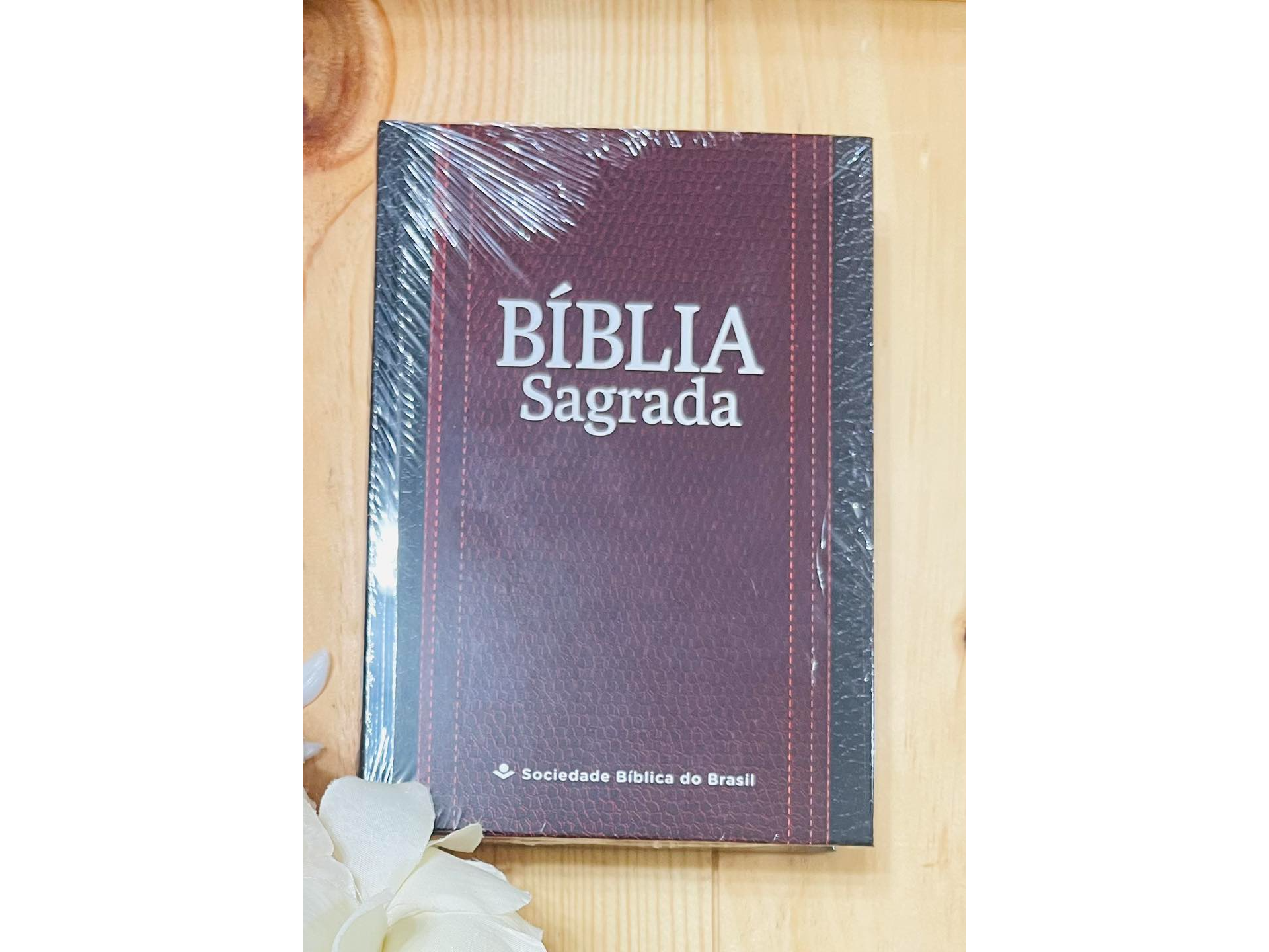 Bíblia Sagrada NAA Letra Maior | Letra Maior SBB