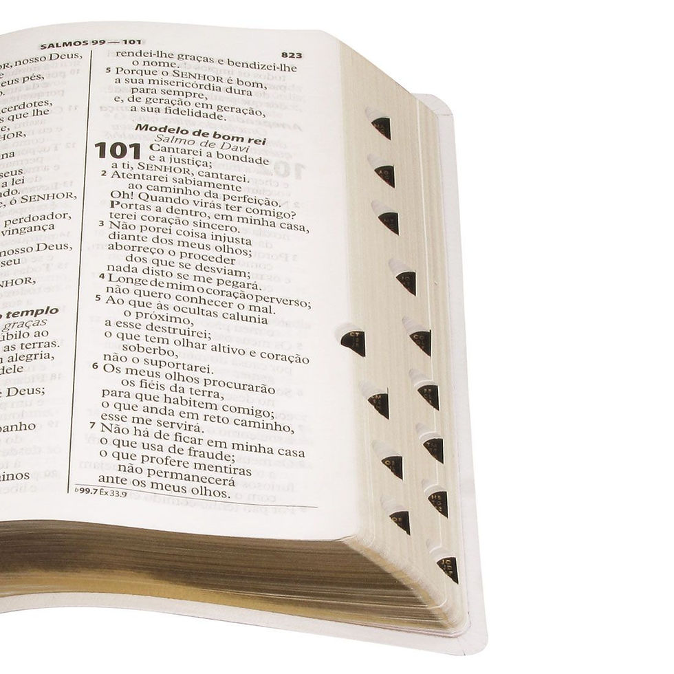 Miniatura: Bíblia Sagrada Letra Gigante Almeida revista e Atualizada.