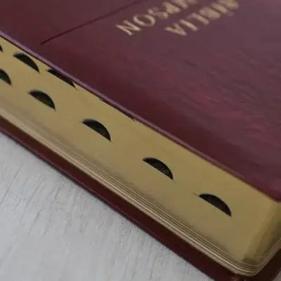 Miniatura: Bíblia Thompson de Estudo | AEC | Letra Grande C/ Índice | Capa Luxo Vinho