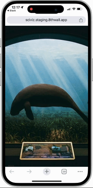 Manatee first