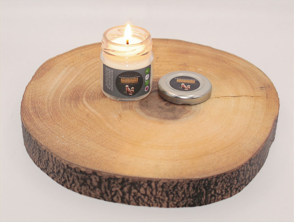 Thumbnail: Walk In The Woods - Aromatherapy Candle