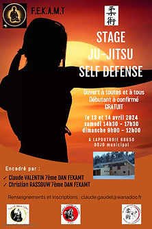 Affiche stage Lapoutroie avril 2024.jpeg