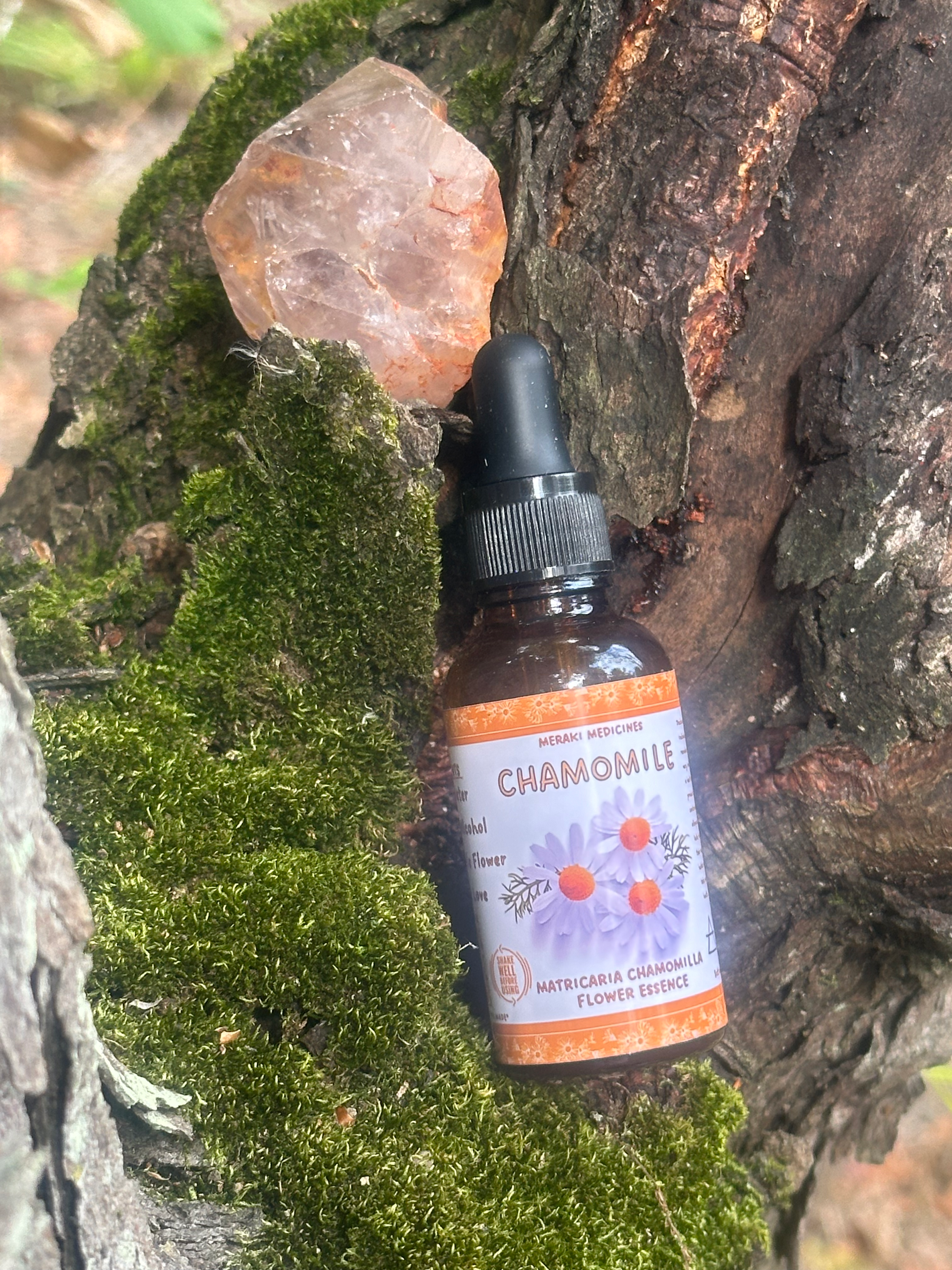 Chamomile flower essence displayed in nature with a crystal charging the medicine