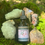 Thumbnail: ashwagandha spagyric tincture displayed in nature with crystals charging the medicine