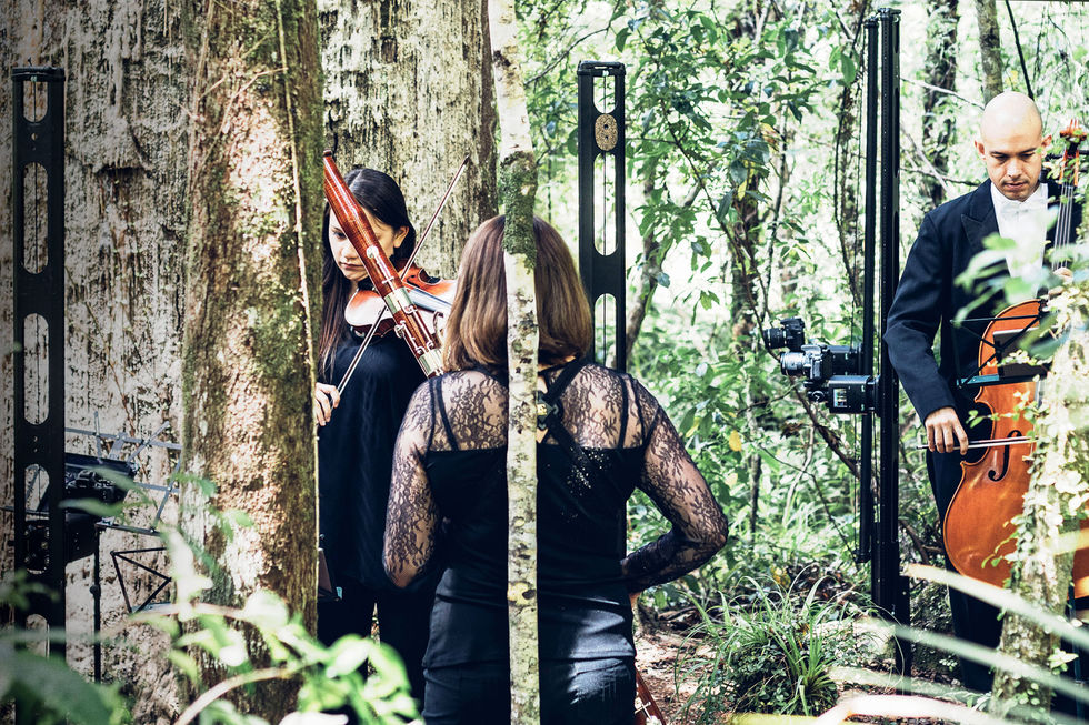 A-Kauri-Cries_Auckland-Philharmonia-Playing-Live_tmp1911298779.jpg