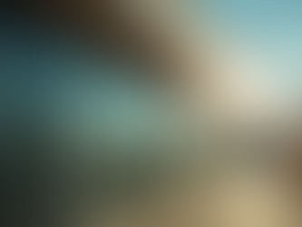 Ormond Beach Tinting Reviews: What You Need to Know Before You Tint Your Windows