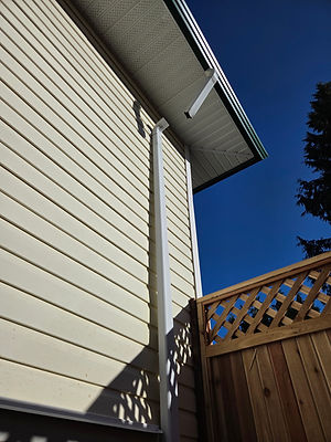 Carrington Road Downspout Before.jpg