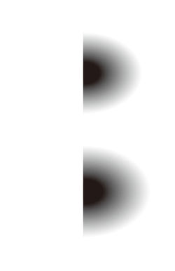 Chaos