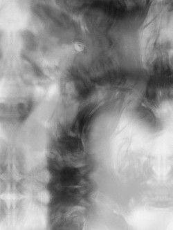 Untitled_II