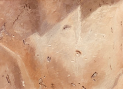 texture0916