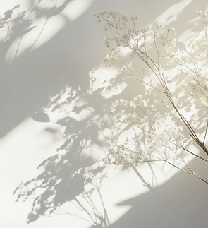 Untitled (16).png