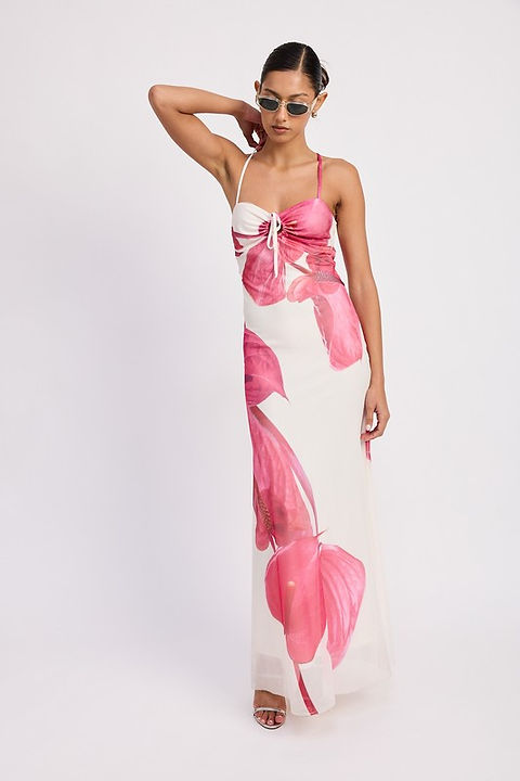 dani floral maxi dress BLUE & PINK FLORAL PLUS SMOCKING RUFFLE DETAIL CHIFFON MAXI DRESS 3XL