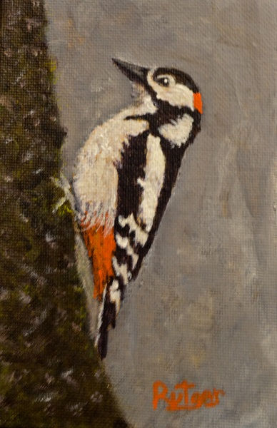 2-C-25 Spotted Woodpecker 4x6